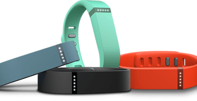 Fitbit Flex