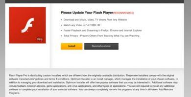 Update your flash player
