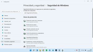 es necesario usar un antivirus en windows 10 - 11 seguridad opciones