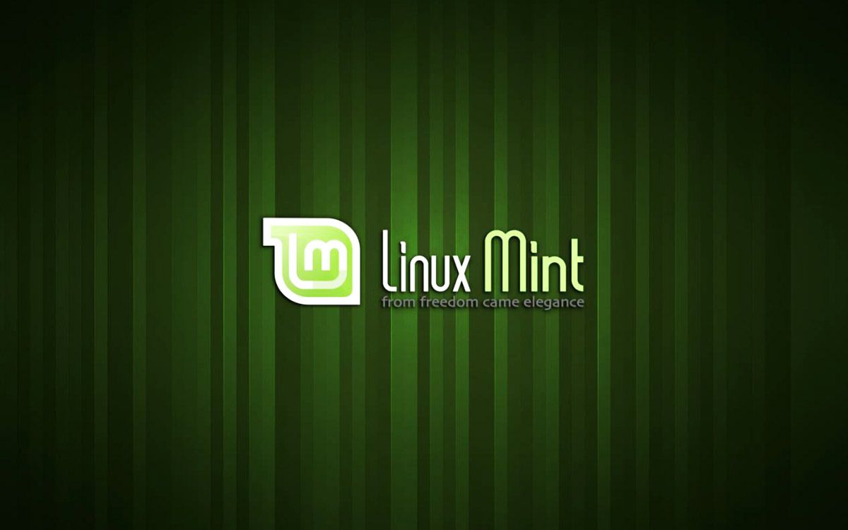 instalar linux mint principal