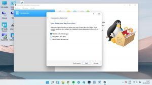 instalar ubuntu 21.04 en virtualbox crear virtual tipo disco